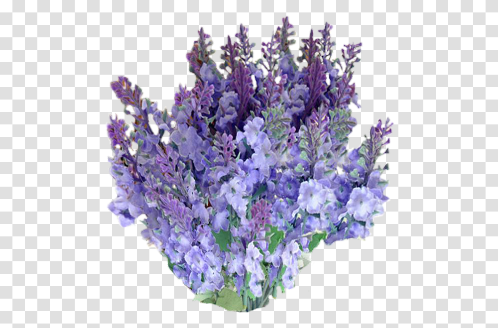 Freetoedit Flowers With A Background Bouquet, Plant, Bush, Vegetation, Blossom Transparent Png