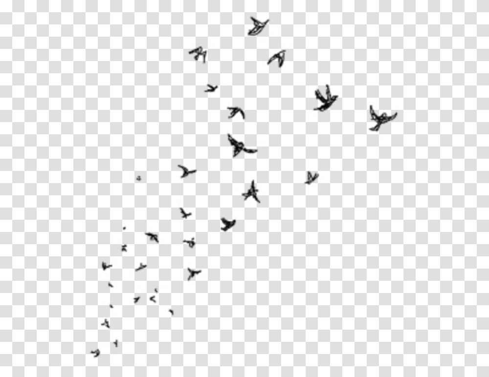 Freetoedit Flying Birds Silhouette Eiffel Tower Background, Snowflake, Machine Transparent Png