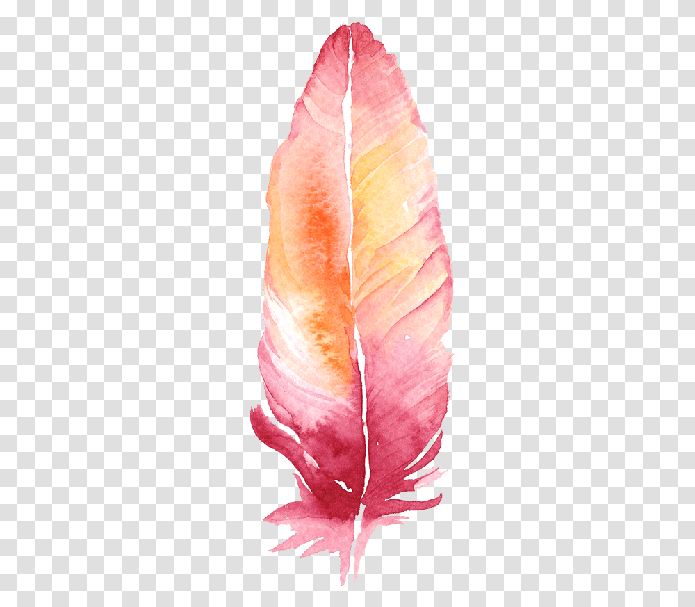 Freetoedit Ftesticker Feather Boho Watercolor Colorful Feather Background, Peel, Petal, Flower, Plant Transparent Png