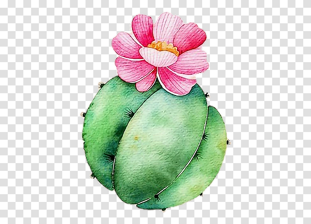 Freetoedit Ftesticker Summer Summervibes Cactus Fondos De Pantalla Para Mamas, Plant, Fruit, Food, Flower Transparent Png