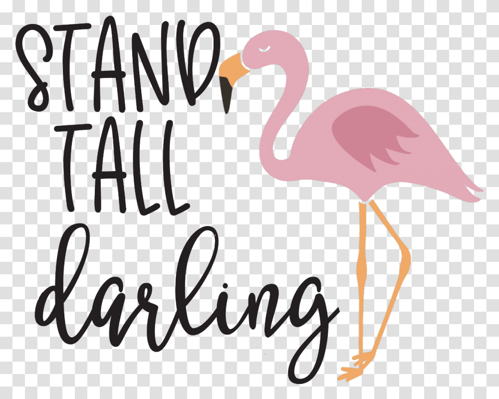 Freetoedit Ftestickers Flamingo Quotes Amp Sayings Summer Duck, Bird, Animal, Beak Transparent Png