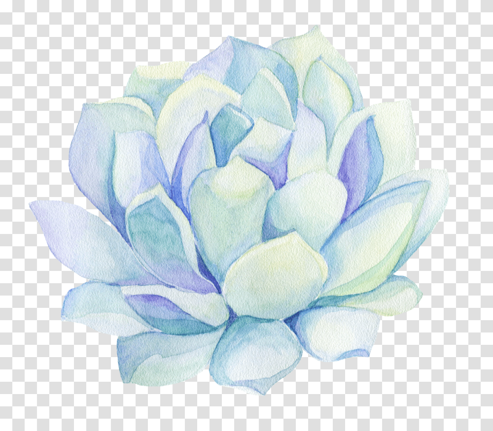 Freetoedit Ftestickers Watercolor Cactus Flower Decorat, Plant, Blossom, Dahlia, Pond Lily Transparent Png