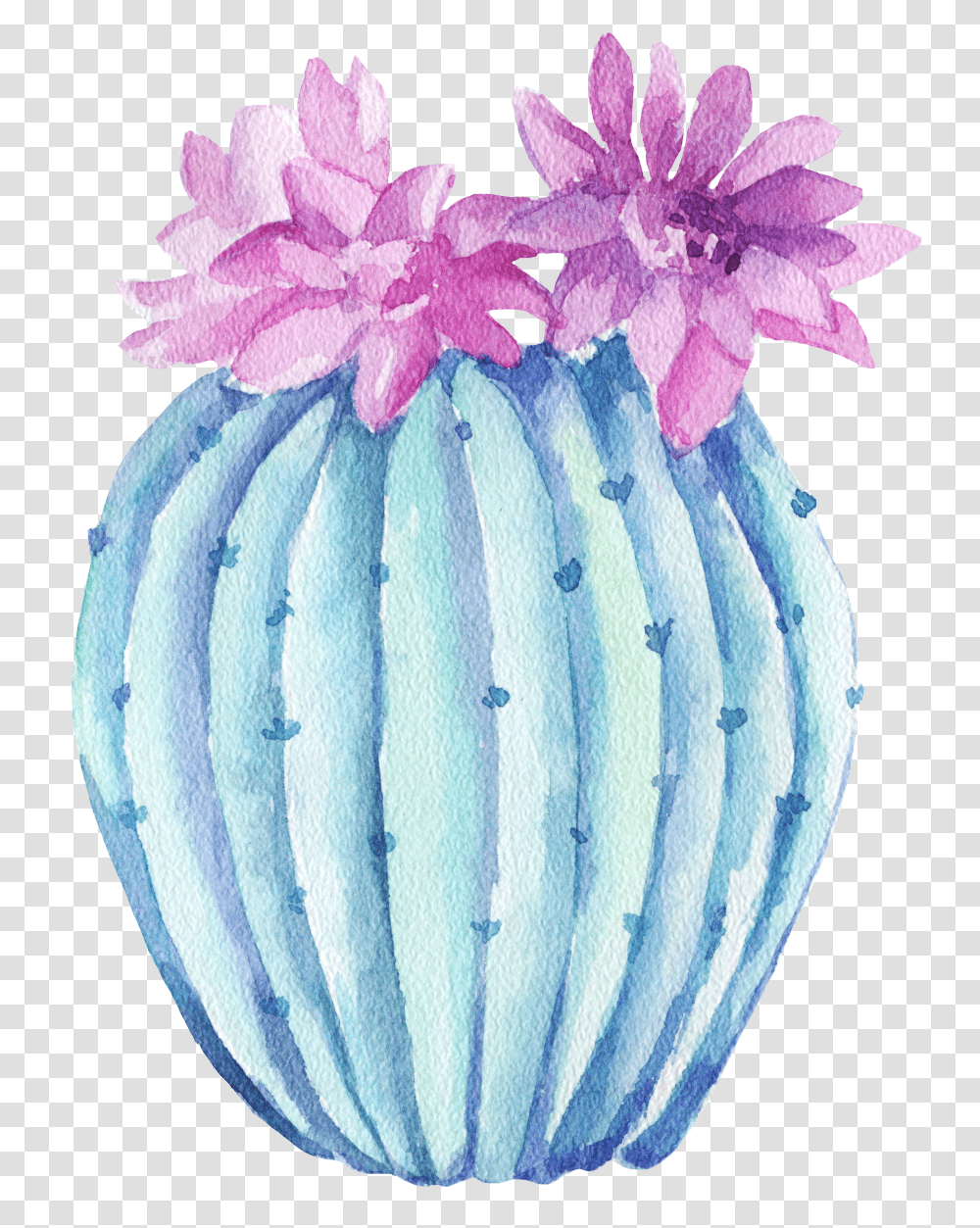 Freetoedit Ftestickers Watercolor Cactus Green Chrysanths, Plant, Flower, Blossom, Pottery Transparent Png
