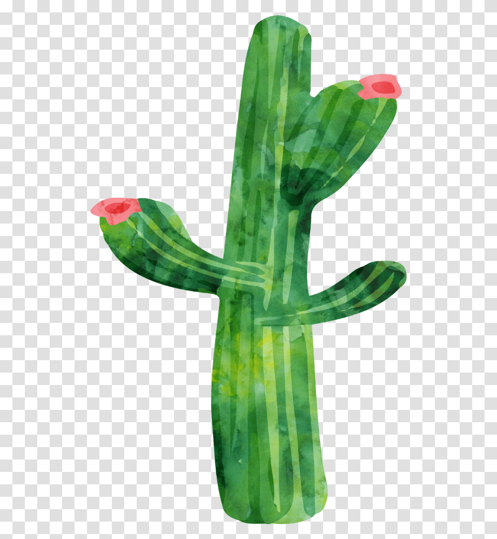 Freetoedit Ftestickers Watercolor Cactus Succulent Deco Watercolor Painting, Plant, Cross, Symbol Transparent Png
