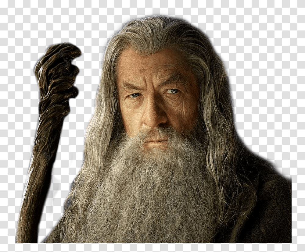 Freetoedit Gandalf Gandalfszary Szary Wadca, Face, Person, Human, Beard Transparent Png