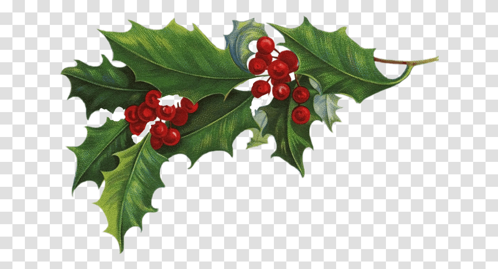 Freetoedit Garlands Christmas Christmastree Christmastime Holly Background, Leaf, Plant, Food, Fruit Transparent Png