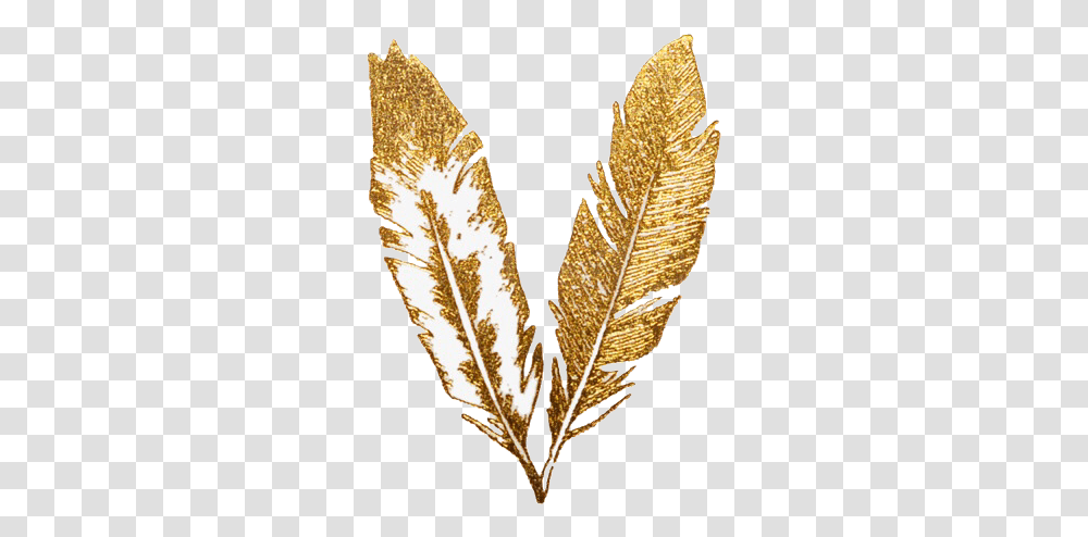 Freetoedit Gold Glitter Aesthetic Feather Gold Feather, Leaf, Plant Transparent Png