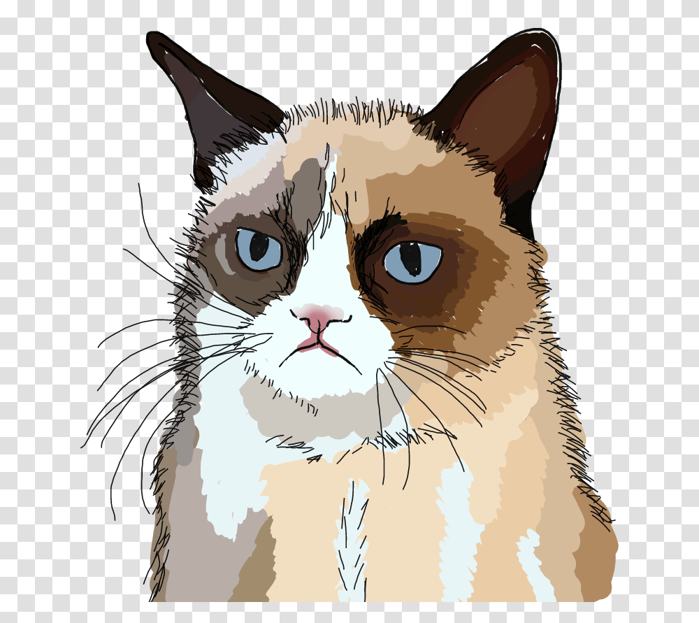 Freetoedit Grumpy Cat Grumpycat Drawing Grumpy Cat Nope, Pet, Mammal, Animal, Abyssinian Transparent Png