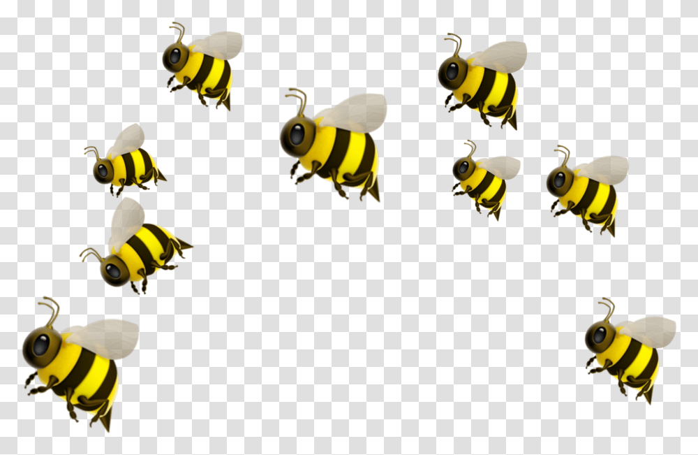 Freetoedit Honey Bee Emoji, Insect, Invertebrate, Animal, Wasp Transparent Png