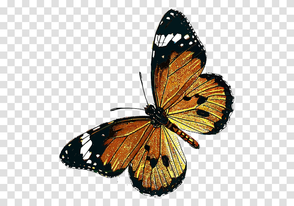 Freetoedit Mariposa Butterfly Insect Animal Insecto Monarch Butterfly, Invertebrate Transparent Png