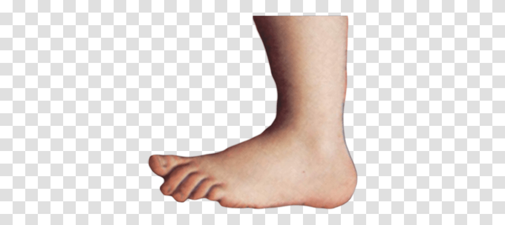 Freetoedit Montypythonfoot Foot Googleimage Monty Python Foot, Ankle, Person, Human Transparent Png