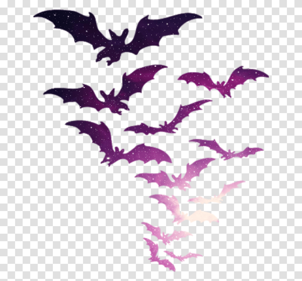 Freetoedit Murcielagos Murcielago Bat Batman Color Halloween Clipart Background, Flower, Plant, Blossom, Dragon Transparent Png
