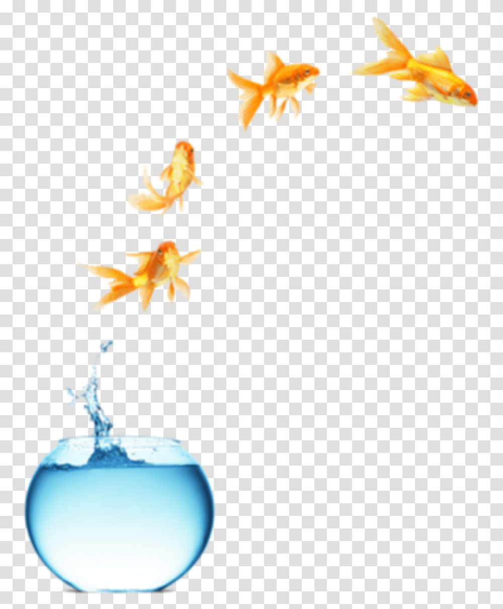 Freetoedit Myedit Fish Jumping Out Of Bowl Life Is What You Make, Animal, Lamp, Beverage, Drink Transparent Png
