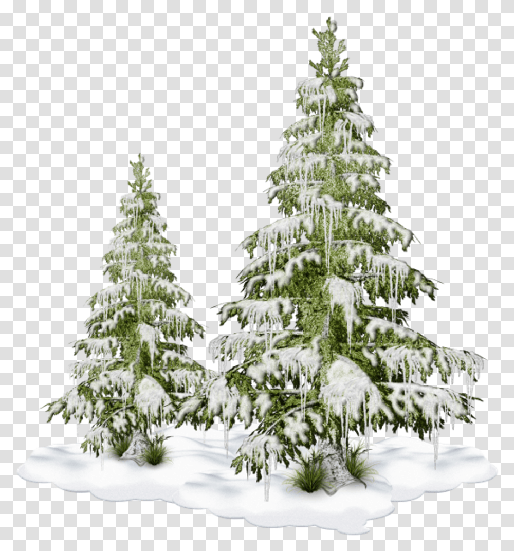 Freetoedit Nature Tree Christmastree Snow Winter, Plant, Pine, Fir, Abies Transparent Png