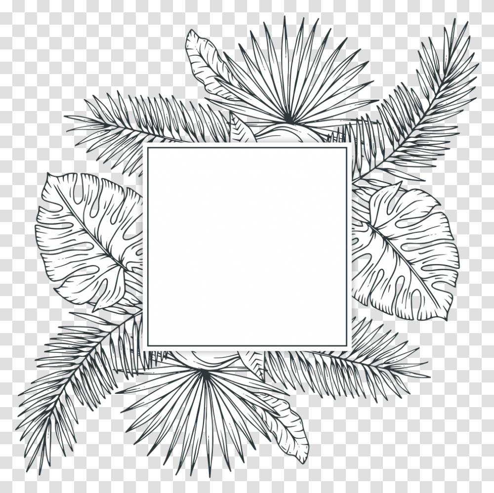 Freetoedit Overlay Blackandwhite Template Handdrawn Tropical Leaf Black And White, Green, Plant Transparent Png