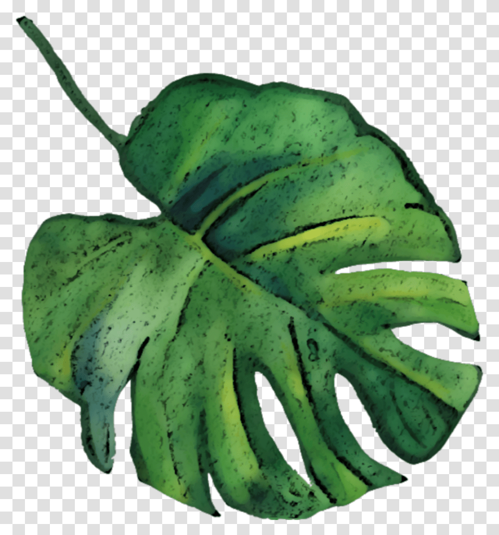 Freetoedit Overlay Watercolor Palm Tropical Leaves Watercolor Tropical Leaf, Plant, Animal, Invertebrate, Insect Transparent Png