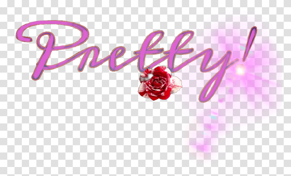 Freetoedit Pretty Pink Rose Lensflare Sccolorpink Ring, Purple, Greeting Card Transparent Png