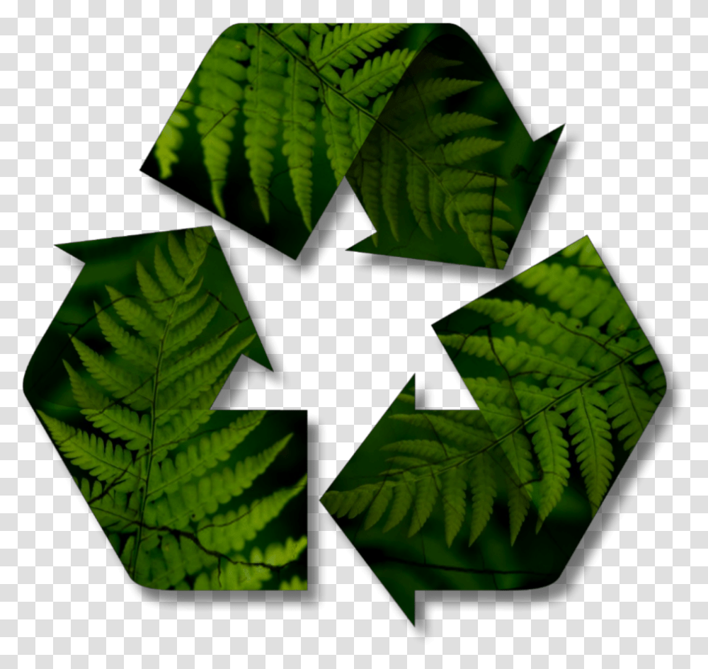 Freetoedit Recycable Reciclable Recycling Reciclado, Leaf, Plant, Green, Vegetation Transparent Png