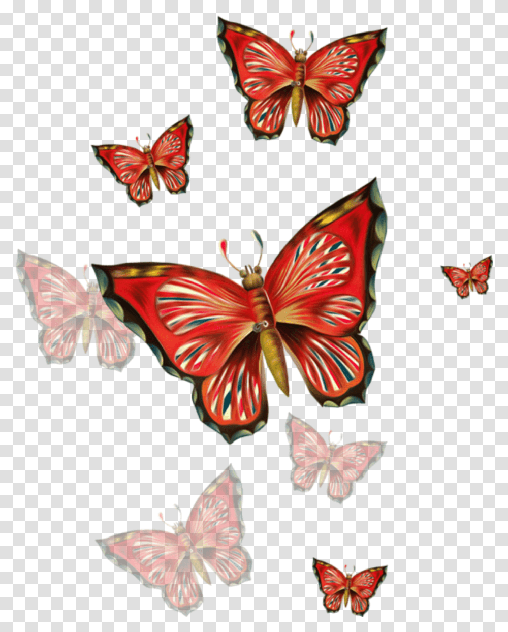 Freetoedit Red Butterflies Dnem Rozhdeniya Docheri Ot Mami, Floral Design, Pattern Transparent Png