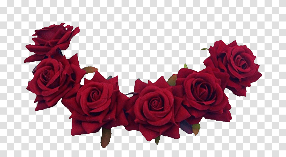 Freetoedit Red Flower Crown, Rose, Plant, Blossom, Flower Arrangement Transparent Png