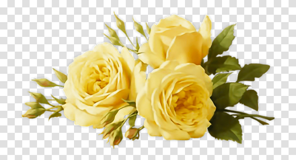 Freetoedit Remixit Flowers Yellow Aesthetic Tumblr, Plant, Rose, Blossom, Flower Bouquet Transparent Png