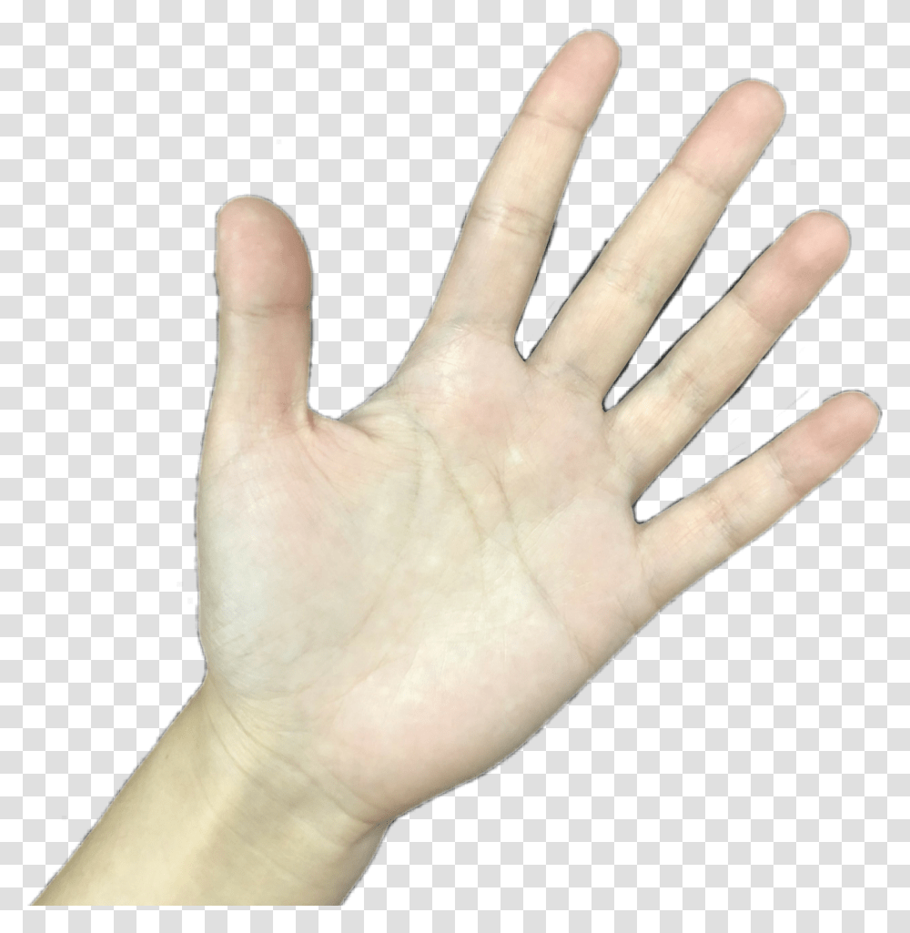 Freetoedit Remixit Hand Tan Stop Grab Hold Body Wrist, Finger, Person, Human Transparent Png