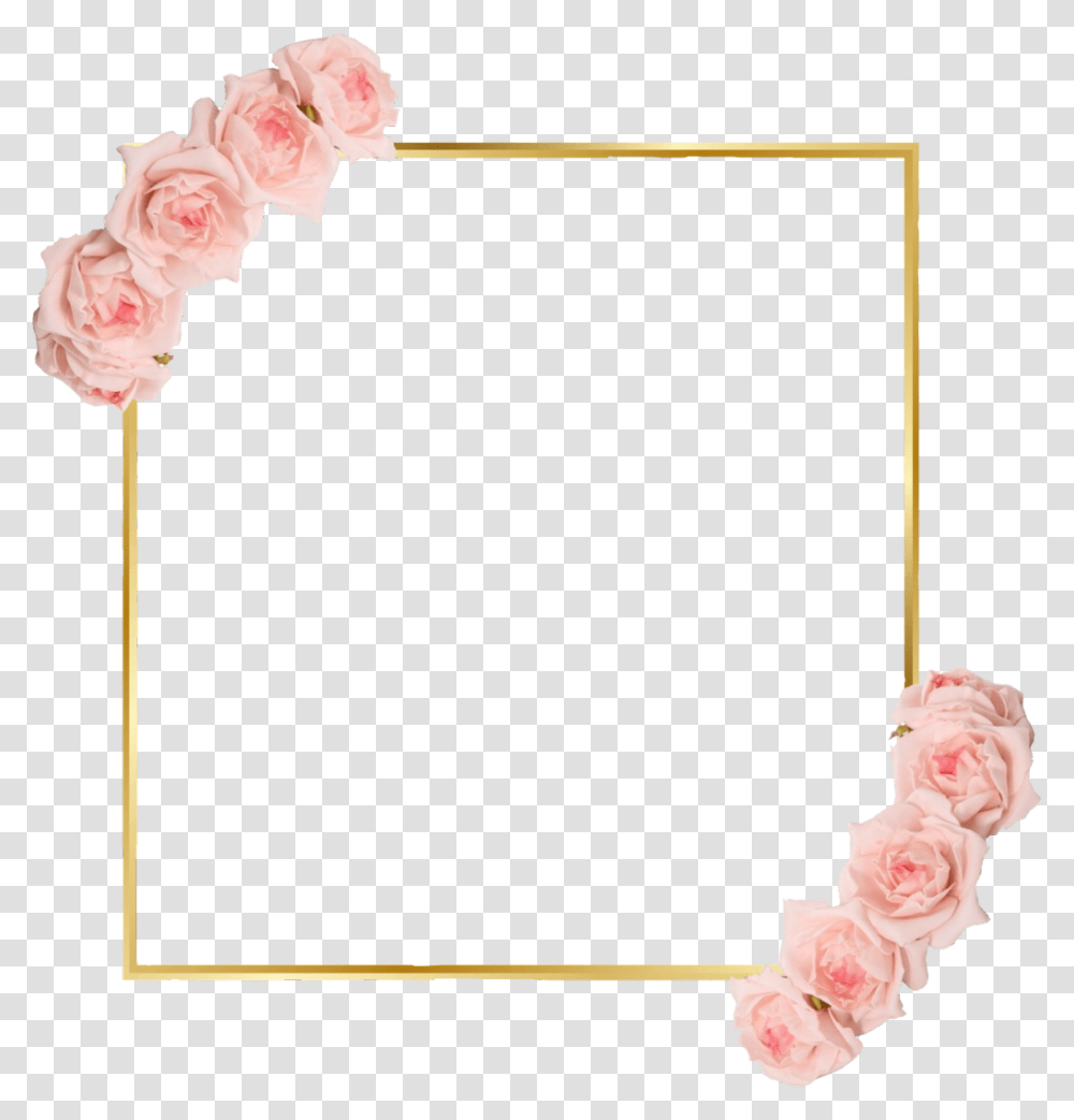 Freetoedit Rose Gold Border Art Frame Garden Roses, Flower, Plant, Blossom, Flamingo Transparent Png