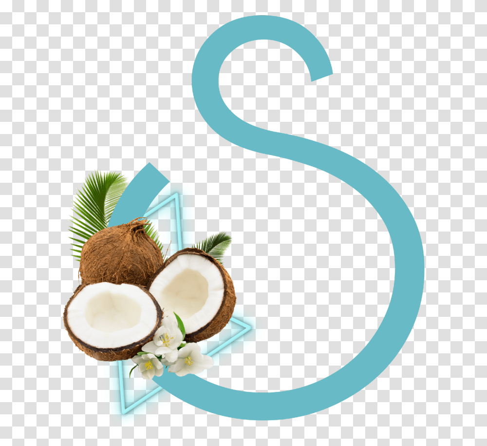 Freetoedit's Letter Blue Coconut Coconut, Plant, Vegetable, Food, Fruit Transparent Png