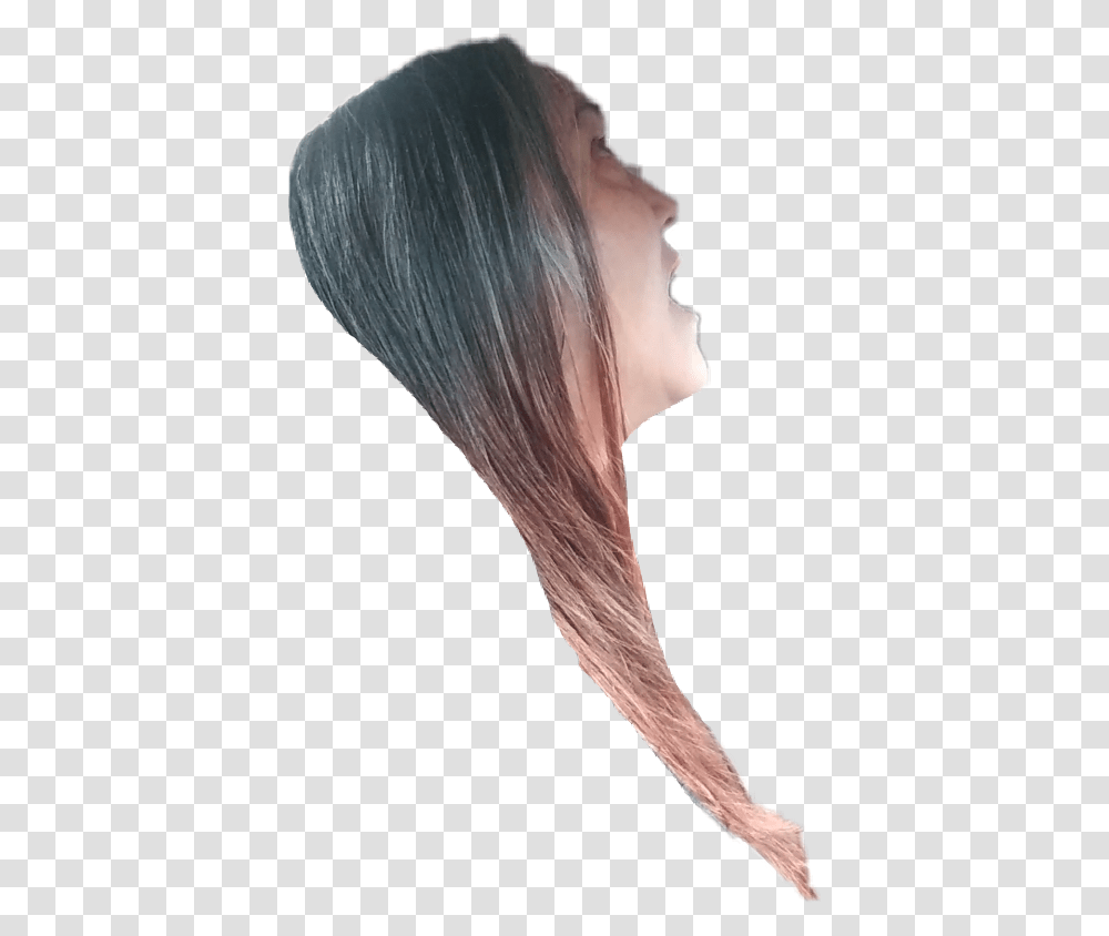 Freetoedit Selfie Cutout Lace Wig, Face, Person, Hair, Bird Transparent Png