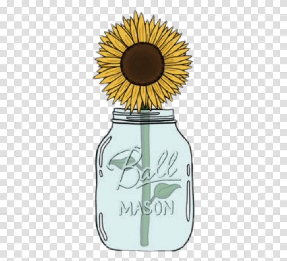 Freetoedit Sfondi Wallpapers Tumblr Tattooday Sunflower In Mason Jar Clipart, Plant, Blossom, Vase, Pottery Transparent Png
