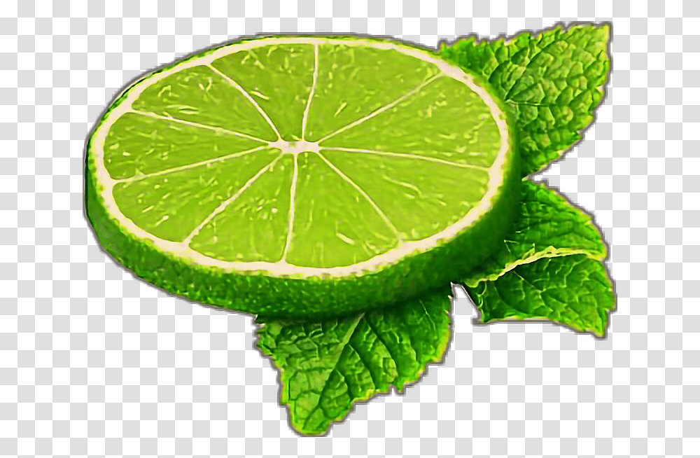 Freetoedit Slice Limegreen Limemint Lime, Citrus Fruit, Plant, Food, Snake Transparent Png