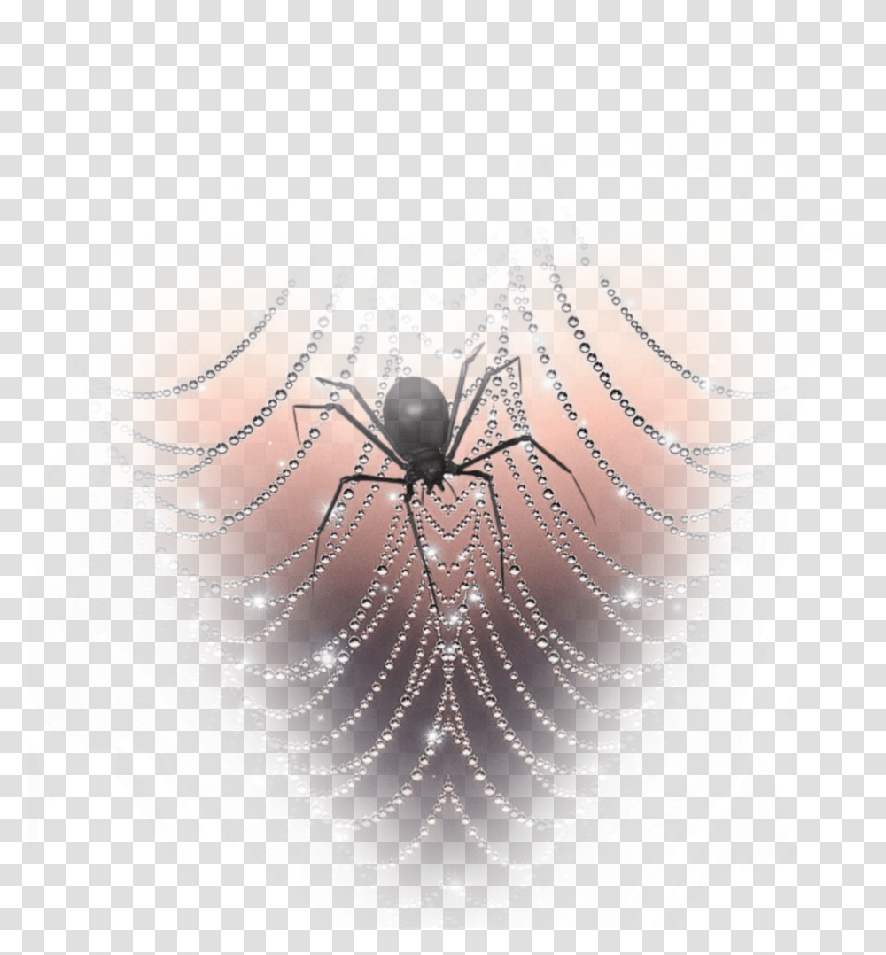 Freetoedit Spider Spiderwebs Spider Web, Animal, Necklace, Jewelry, Accessories Transparent Png