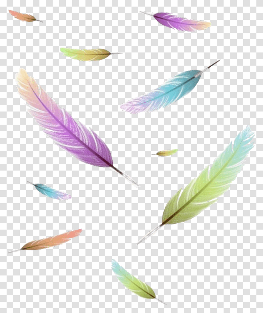 Freetoedit Sticker Icon Feder Feather Wrote Write Feather, Leaf, Plant, Petal, Flower Transparent Png
