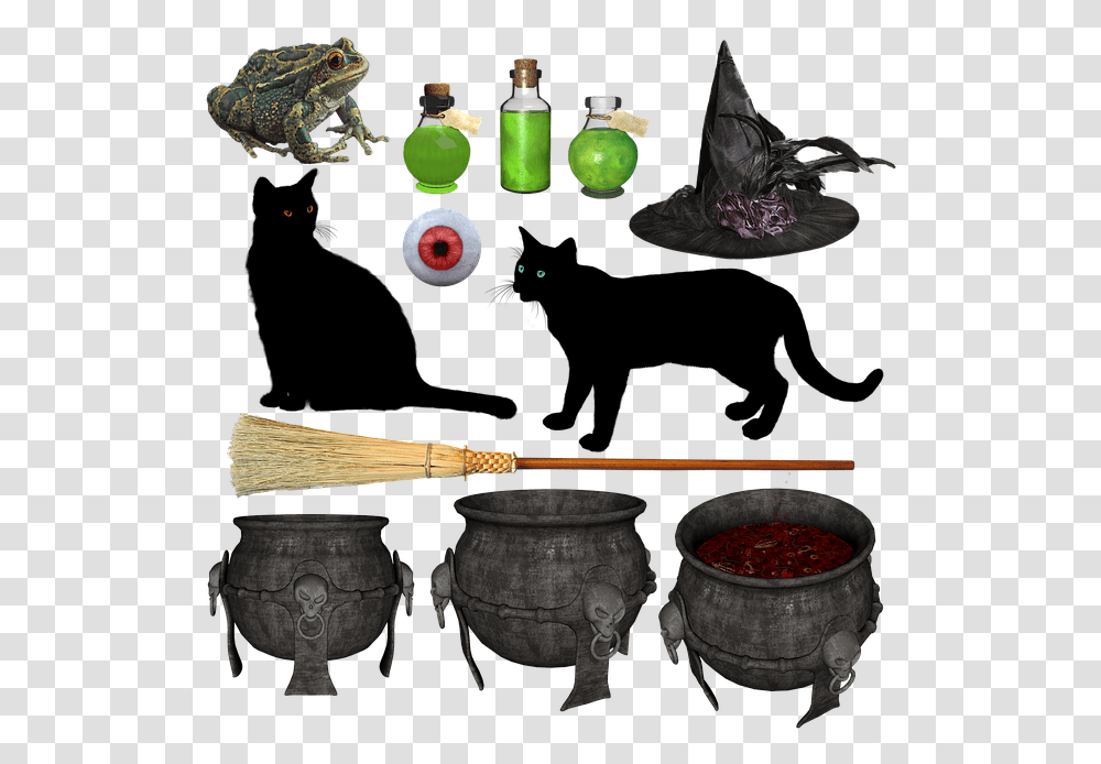 Freetoedit Sticker Witch Halloween Cauldron Broom Clipart Witches Cauldron, Turtle, Reptile, Sea Life, Animal Transparent Png