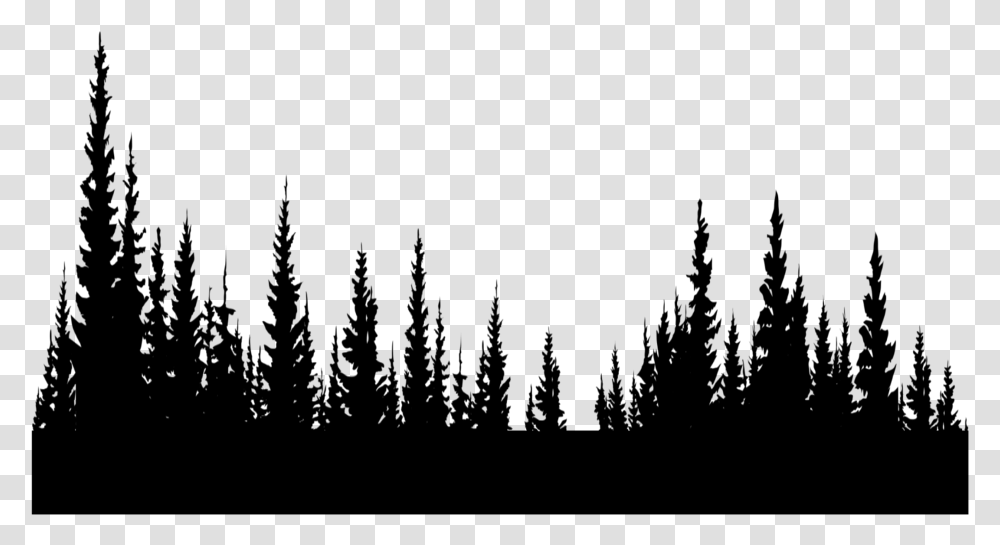 Freetoedit Trees Silhouette Black Forest Inthedistance Shortleaf Black Spruce, Gray Transparent Png