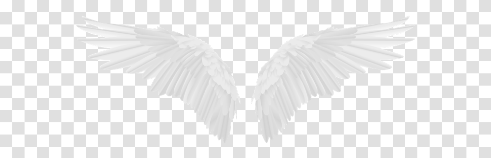 Freetoedit Wings Angel Wing White Love Girl Fly Trend Angel Wings, Art, Bird, Animal, Archangel Transparent Png