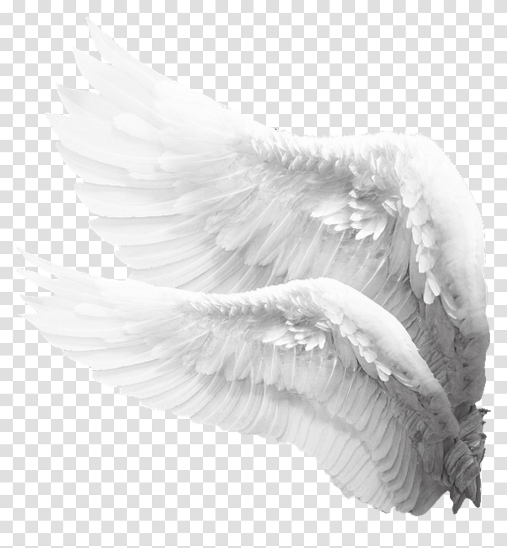 Freetoedit Wings White Mysticker Picsart Angel Wings Side, Bird, Animal, Swan, Archangel Transparent Png