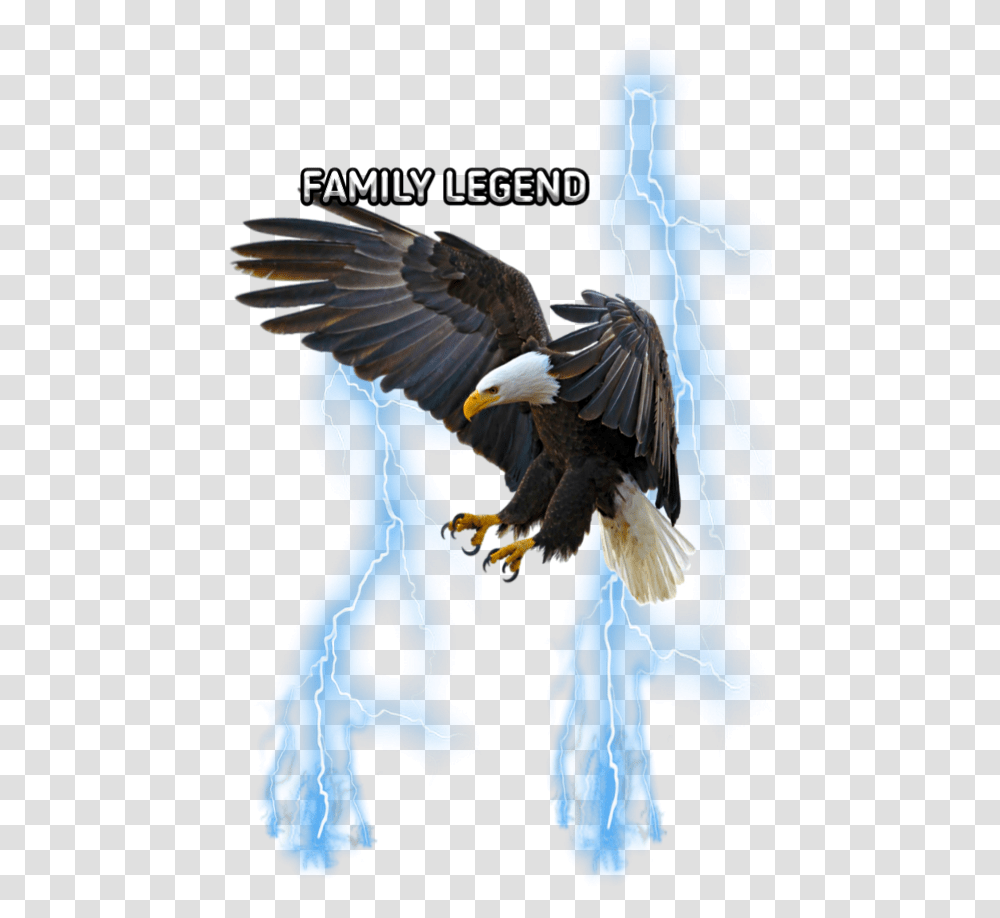Freetoediteemput Eagle Lightning Blue Flying Eagle Drawing Colored, Bird, Animal Transparent Png