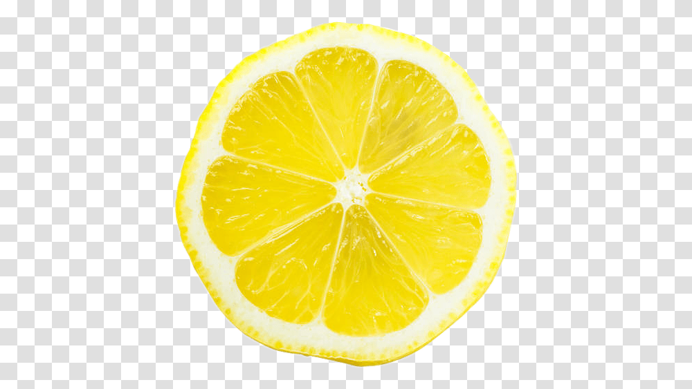 Freetoeditlemonpng Lemon Limn Limnpng Background Slice Of Lemon, Citrus Fruit, Plant, Food, Orange Transparent Png