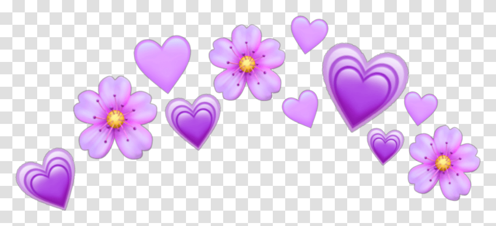 Freetoeditpurple Purpleheart Hearts Heart Crown Purple Heart Emoji Crown, Petal, Flower, Plant, Blossom Transparent Png
