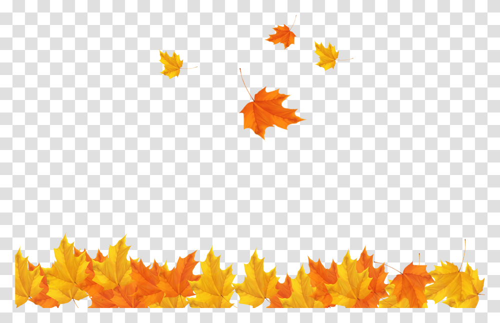 Freeuse Download Autumn Leaves Autumn Leaves Free, Leaf, Plant, Tree, Maple Transparent Png
