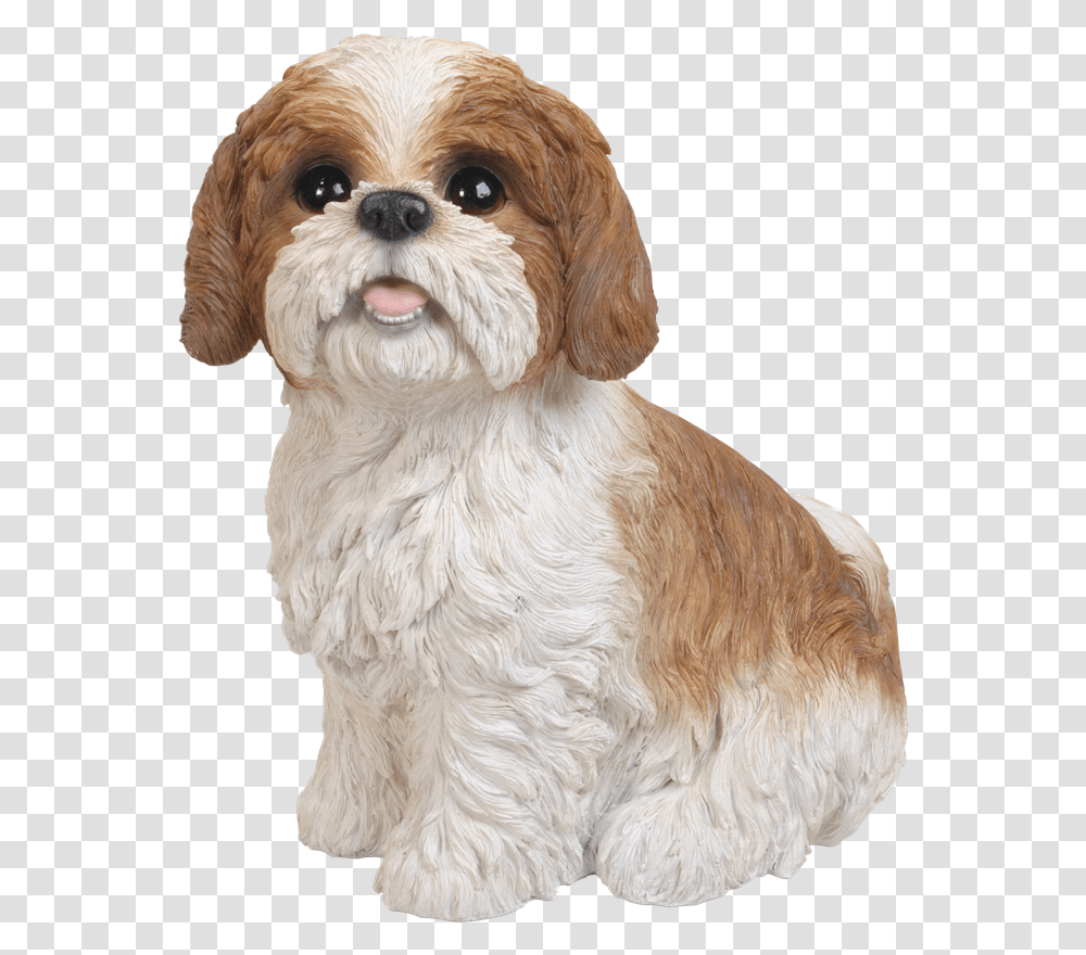 Freeuse Library Brown Sitting Resin Garden Ornament Shih Tzu Brown And White, Dog, Pet, Canine, Animal Transparent Png
