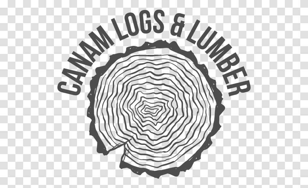 Freeuse Library Canam Lumber Illustration, Maze, Labyrinth Transparent Png