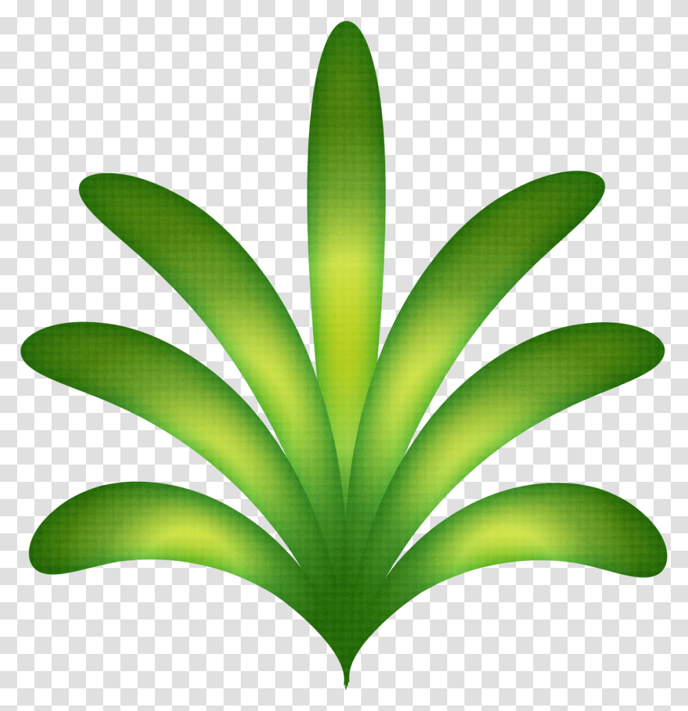 Freeuse Luau Havaianas Minus Festa Havaiana Folhas De Luau, Plant, Leaf, Vegetable, Food Transparent Png