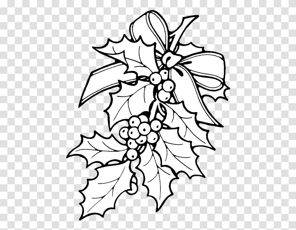 Freeuse Stock Holly At Getdrawings Com Free For Christmas Holly Coloring Pages, Stencil, Leaf, Plant Transparent Png