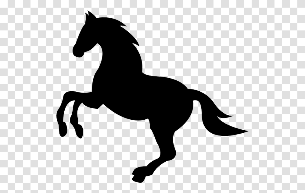 Freeuse Stock Vector Horse Horse Icon, Gray, World Of Warcraft Transparent Png