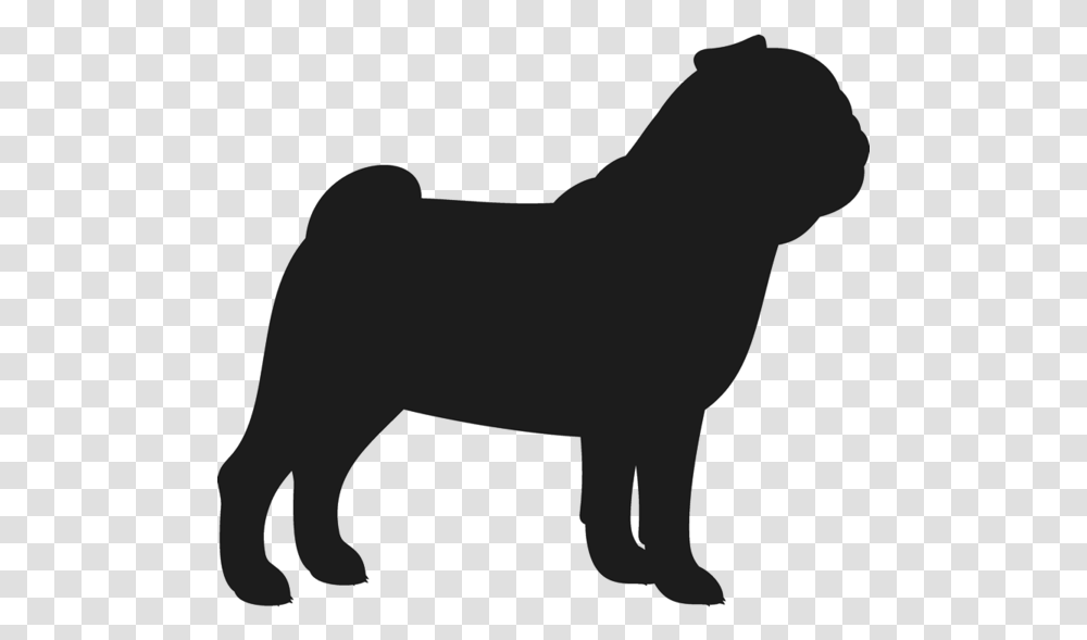 French Bulldog American Bulldog Puppy T Shirt French Bulldog Black Silhouette, Mammal, Animal, Wildlife, Cougar Transparent Png