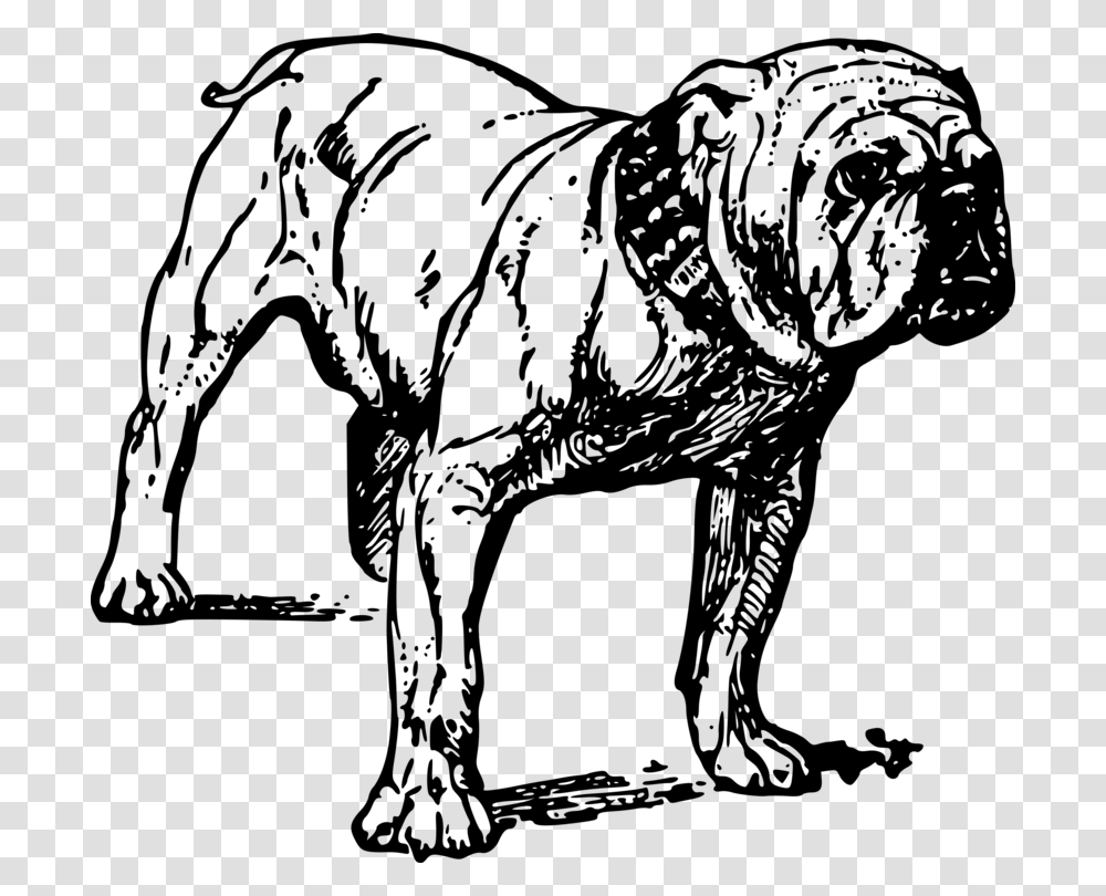 French Bulldog Bull Terrier Pit Bull Drawing Realistic Black And White Dog Clip Art, Gray, World Of Warcraft Transparent Png