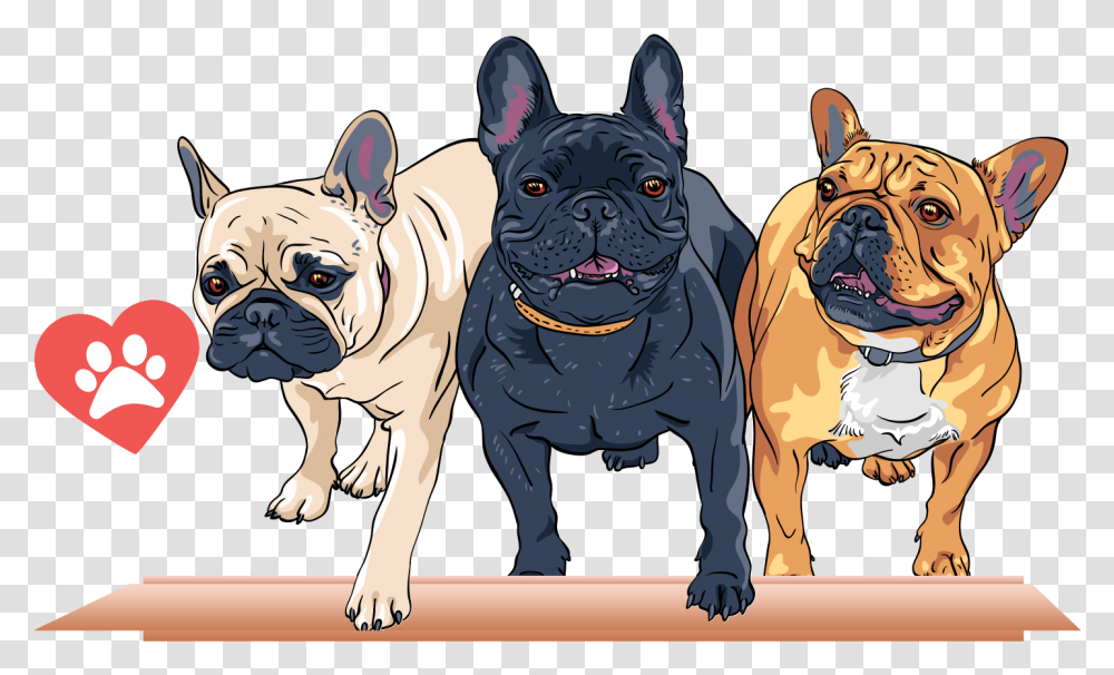 French Bulldog Clipart, Pet, Canine, Animal, Mammal Transparent Png
