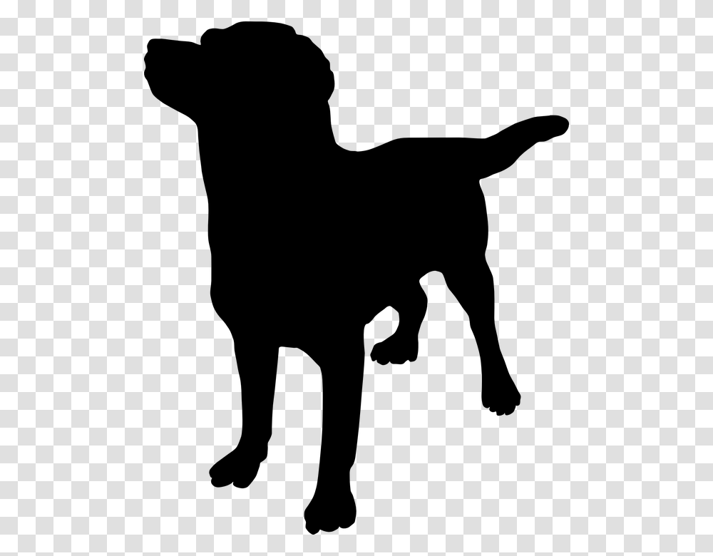 French Bulldog Great Dane Puppy Rottweiler How To Massage Places To Massage Your Dog, Gray Transparent Png